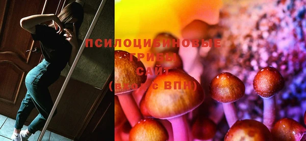 дурь Алексеевка