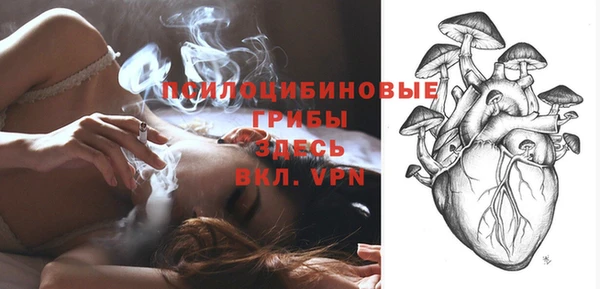 дурь Алексеевка