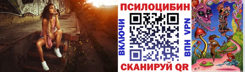 закладки  Буй  Галлюциногенные грибы ЛСД 